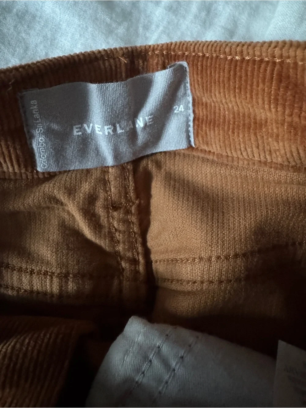 Everlane Button-Front Corduroy Midi Skirt in Rust